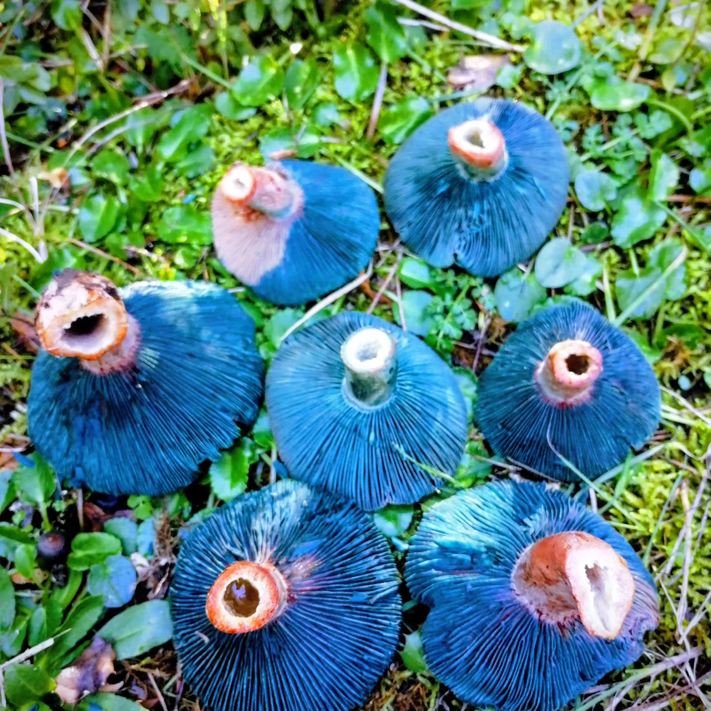 57Cf0F4F E308 482D 9D0E D90A28Adfb42