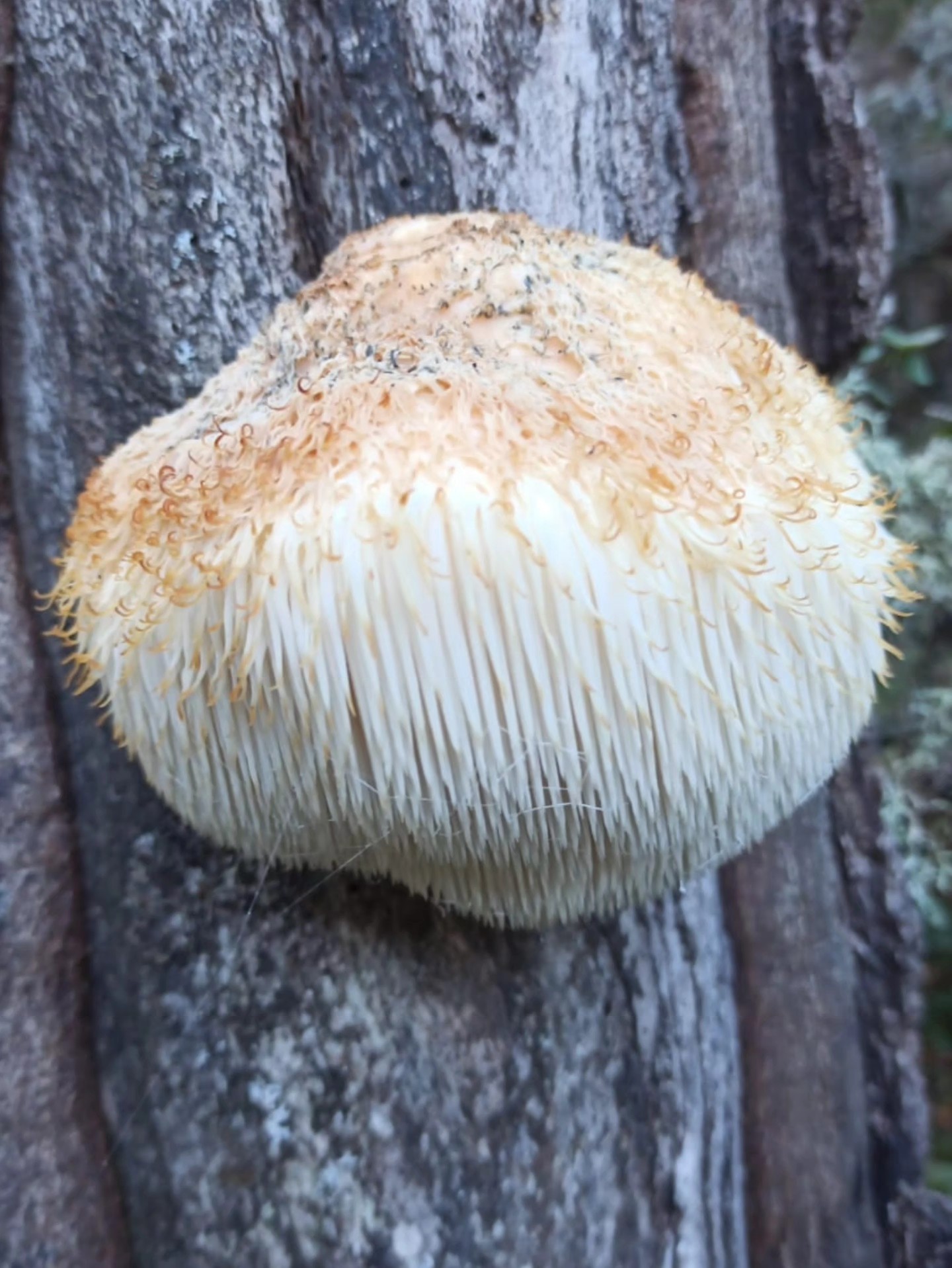 600352240 10226295109918955 622573460786491907 N