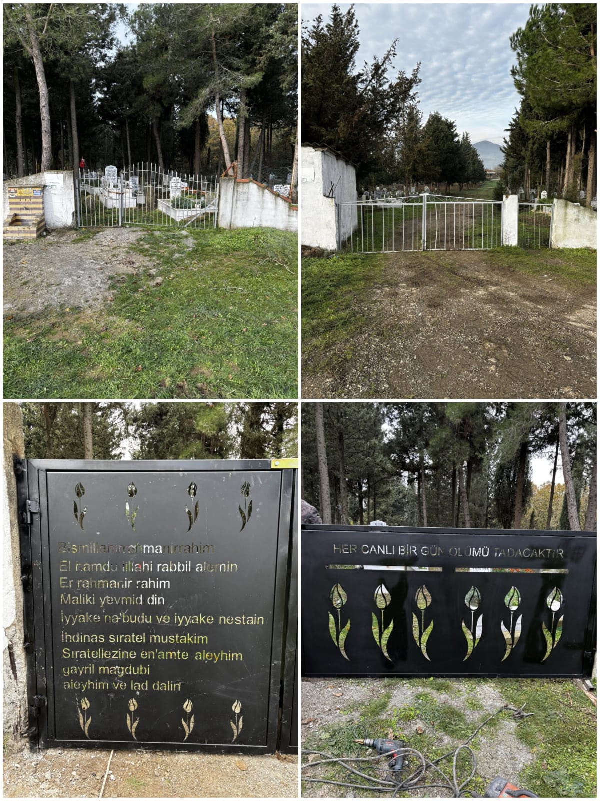 61E6297B 7500 4E60 B1F8 38Cea9608C6F