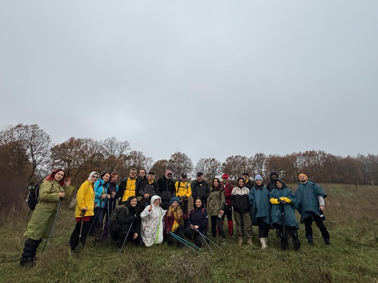 66850B1B Ccb9 44C8 8499 Bc9784E3A6D9