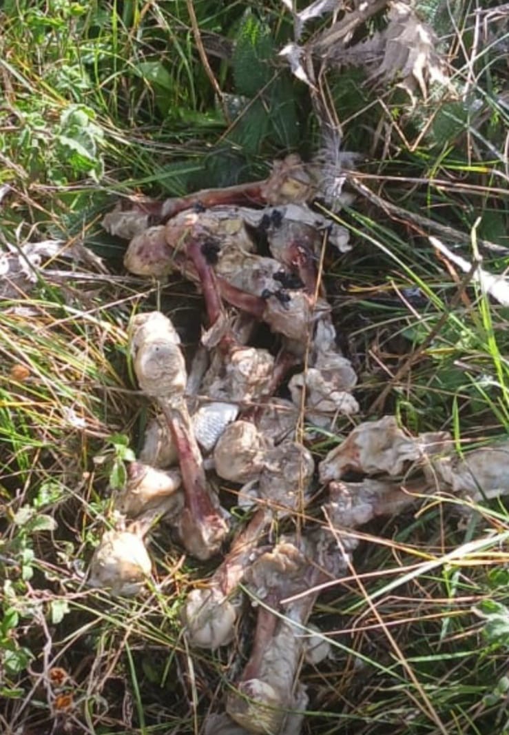 6A23F8C4 A47E 457F B85A Aa3B130D97A9