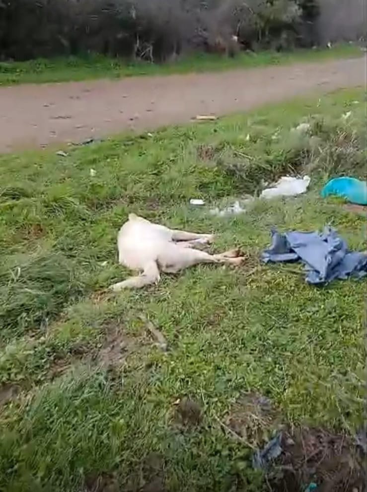 8A001D07 4B0A 45Bc B578 746Bbef60C95