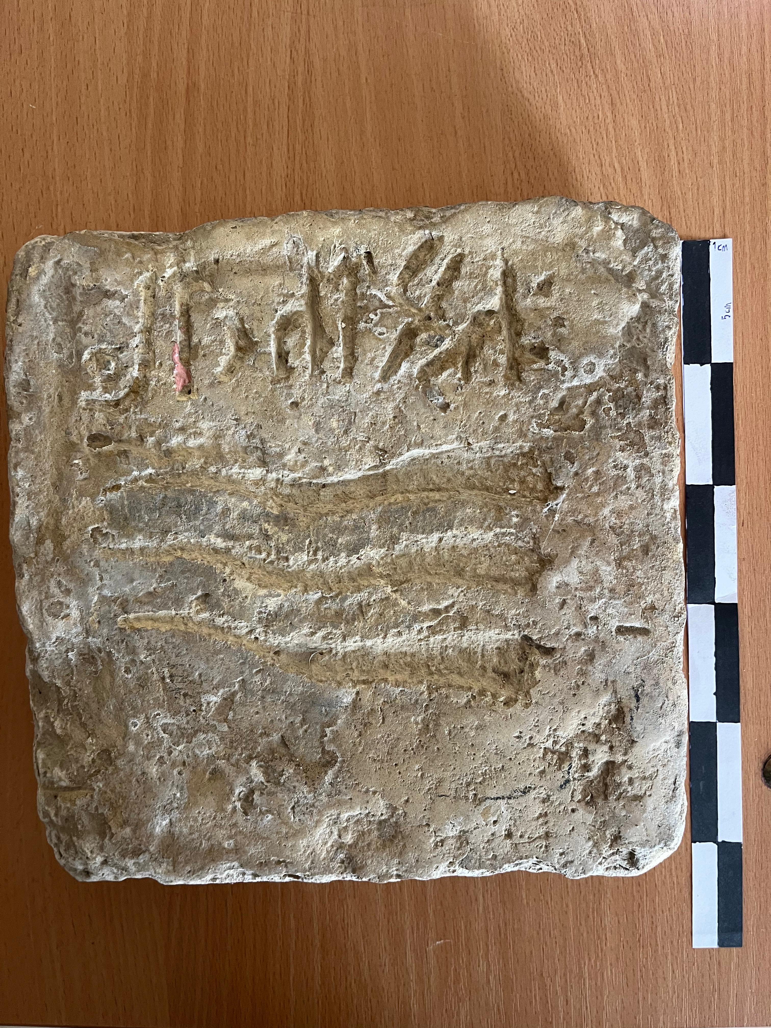 A A 20251225 40070976 40070967 K A Z A K I S T A N D A K I B I R M U Z E D E Y E R A L A N B U L U N T U N U N O G U Z L A R A A I T Y A Z I T O L D U G U B E L I R L E N D I