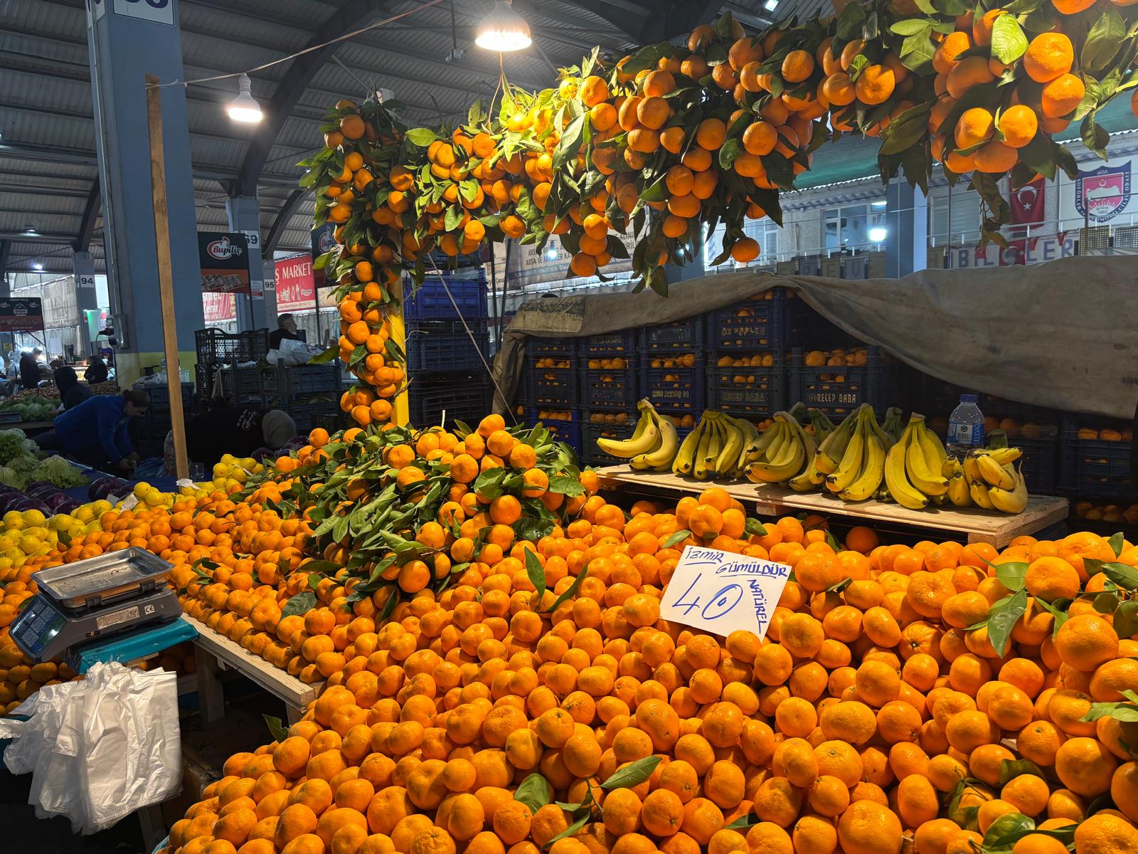 A3257Eb7 04E7 4884 84A6 96E4C8E401E9