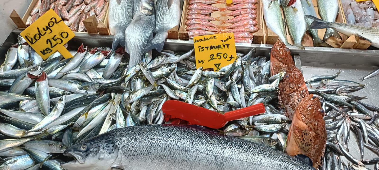 A39Dd53B Dcfe 4D3B Ae8A Abaae23D68D7