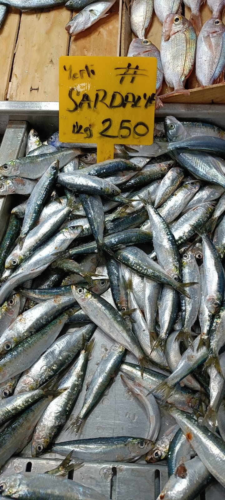 A45D7D43 927A 4C80 A1C8 847924E2718B