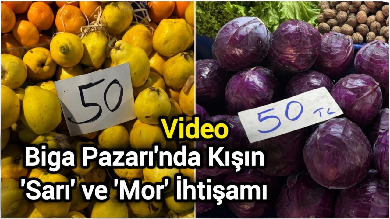 Biga Pazarı'nda Kışın 'Sarı' ve 'Mor' İhtişamı
