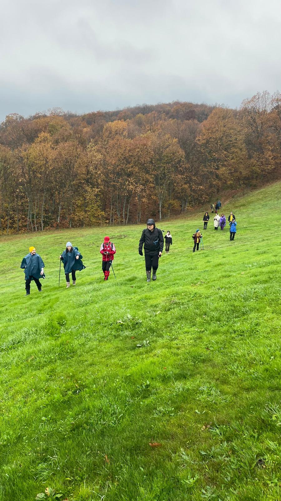 Cef3Db2F 65Af 4731 947E 7C030E76F67B