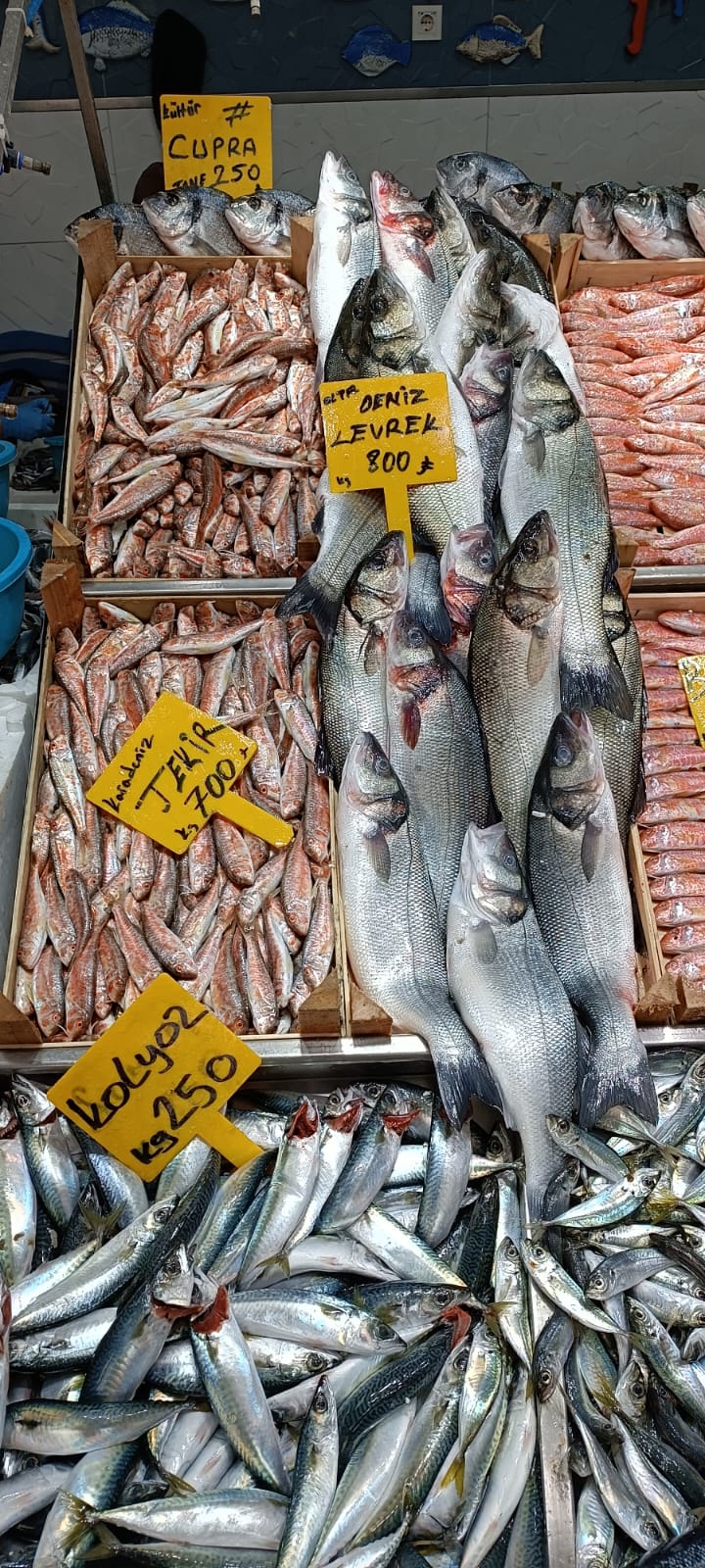 D3Bbe5F3 1362 4814 86B8 74D457Aeebaa