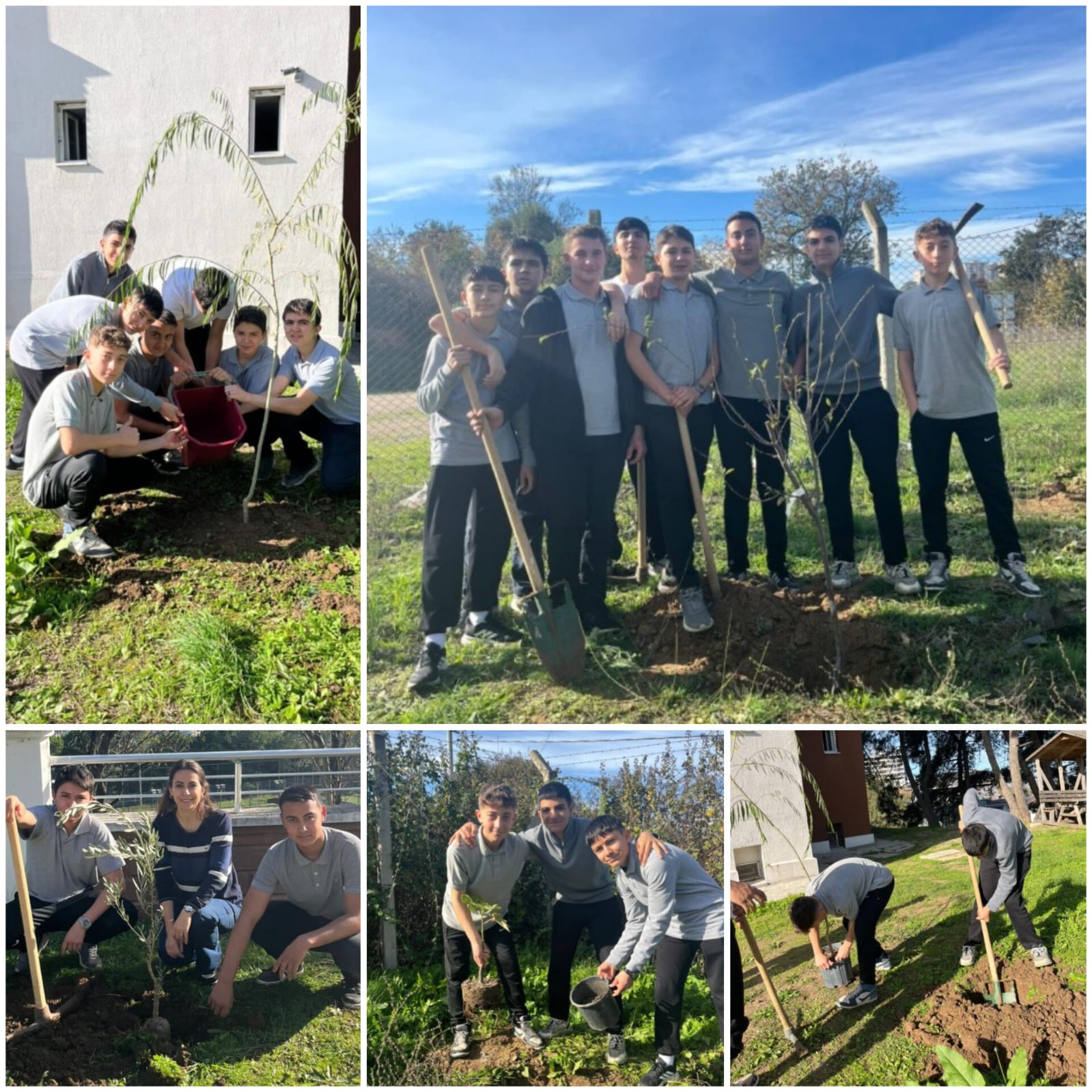 D509E50E 086C 464D 8E6A Ba0C7Beea98A