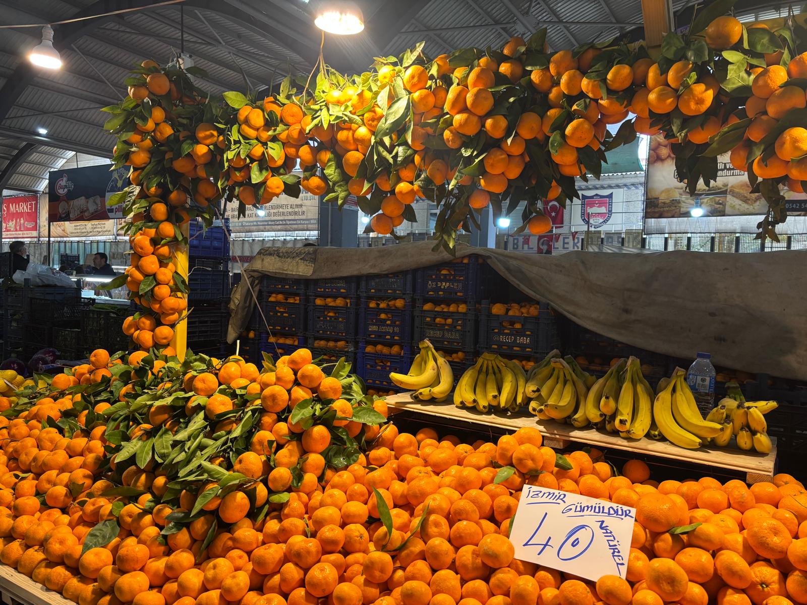 D9E4E35A 8123 4C7C A12E 59711525A1E0