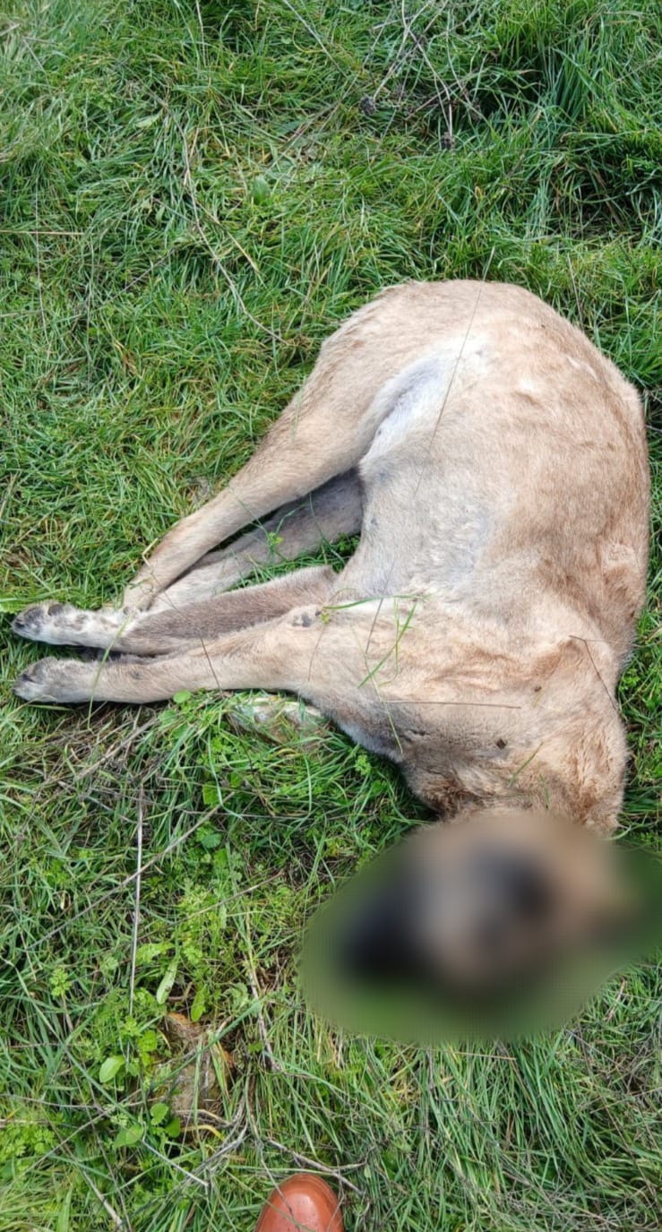 E0Ef42A9 B457 4818 B4B7 3E430F90D1A8