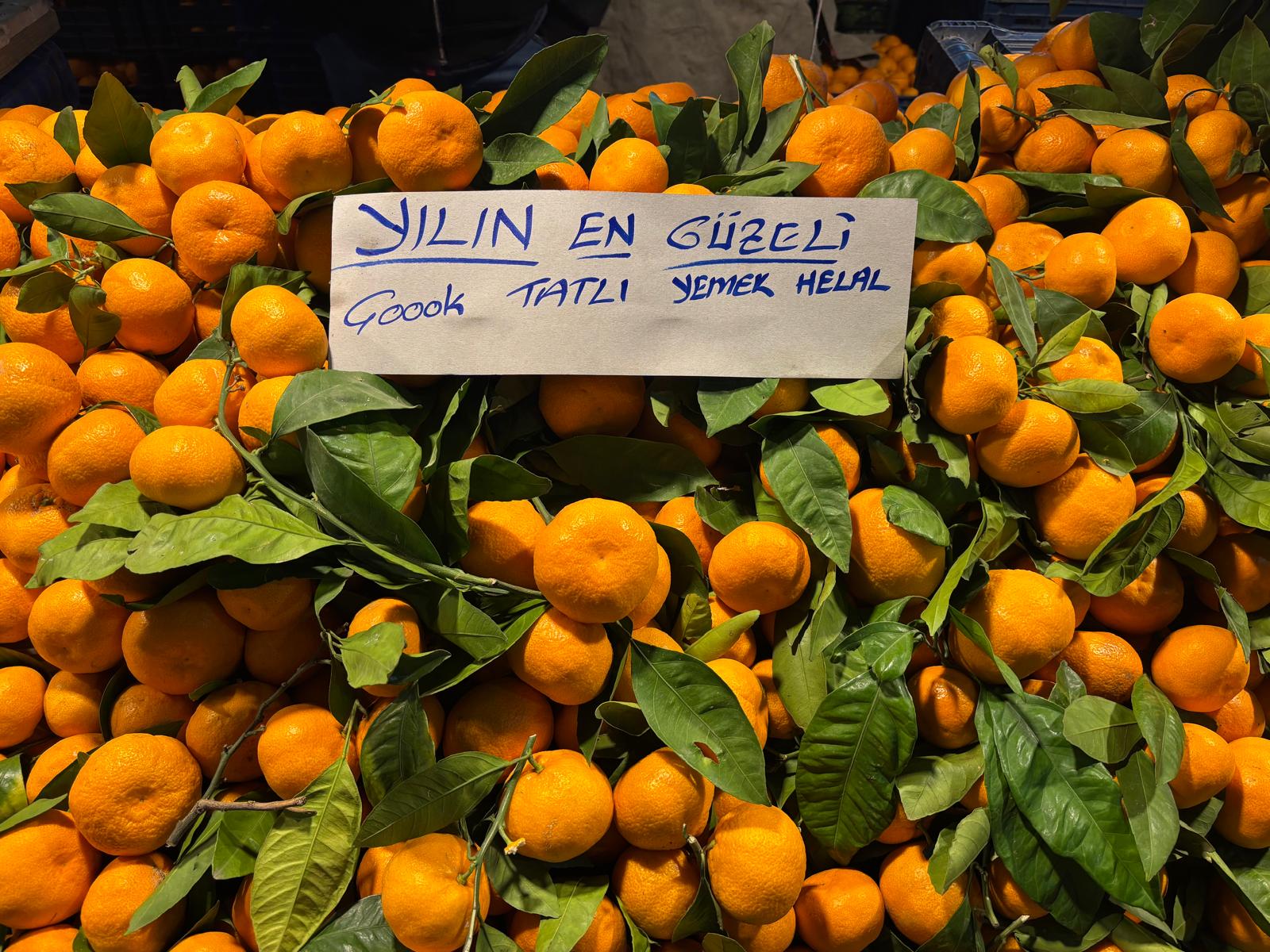 Ecc30A8E 06E1 4052 8170 42Ffc38B823E