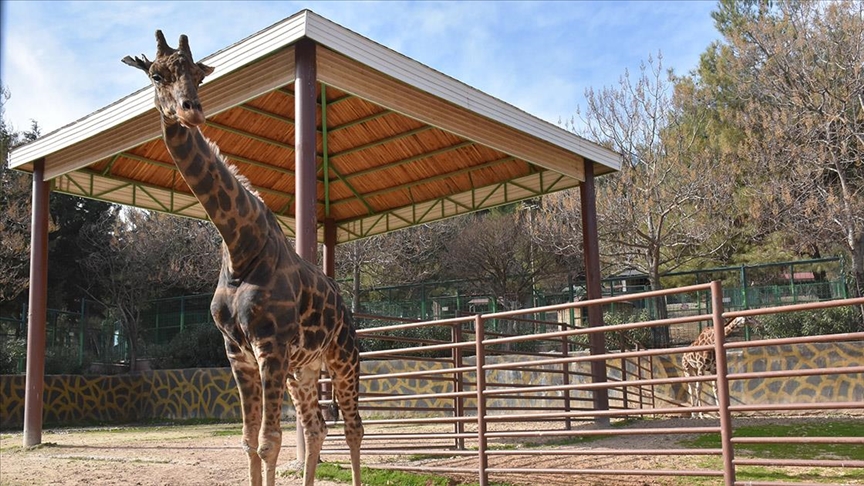 Thumbs B C 7Cb0Ff2F9D56715B09A7A6Bd153F5018