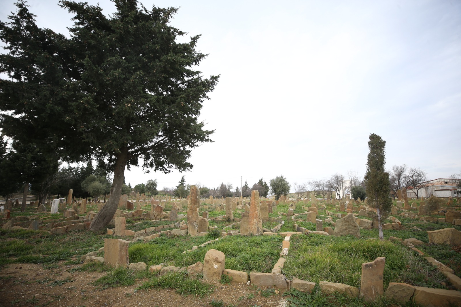 I M G 20260107 W A0161