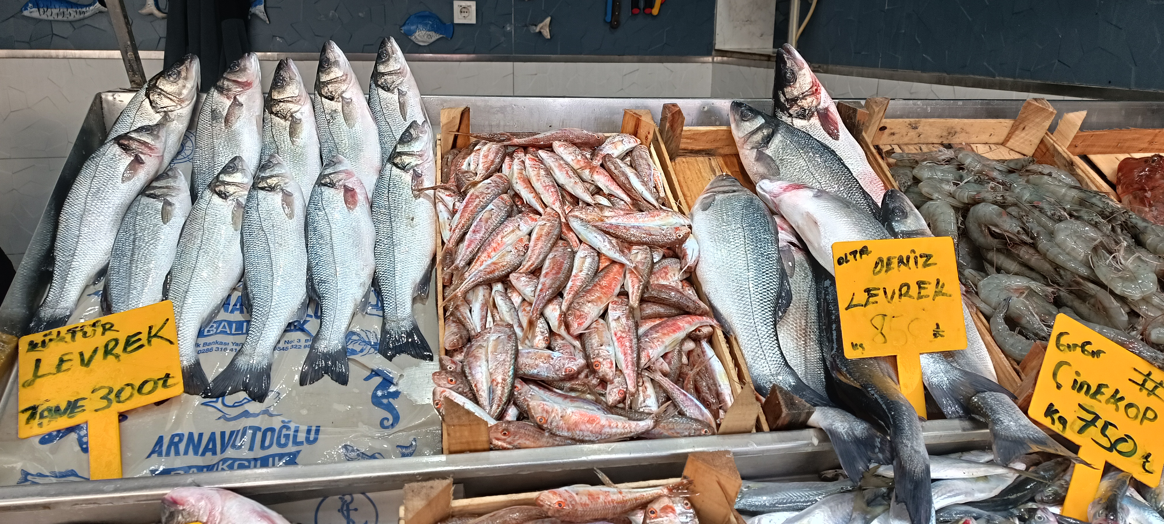 I M G 20260108 125230