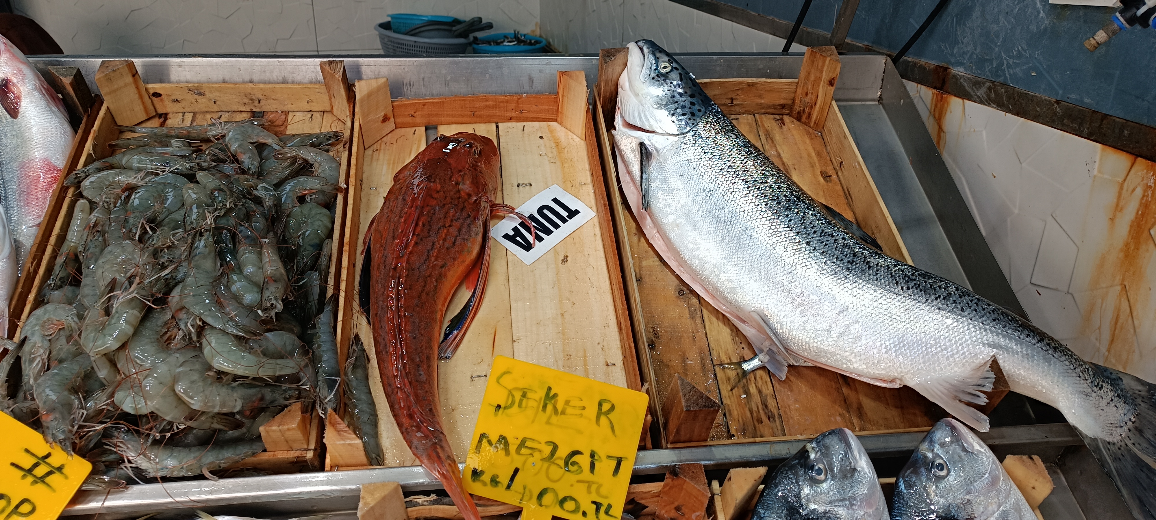 I M G 20260108 125244