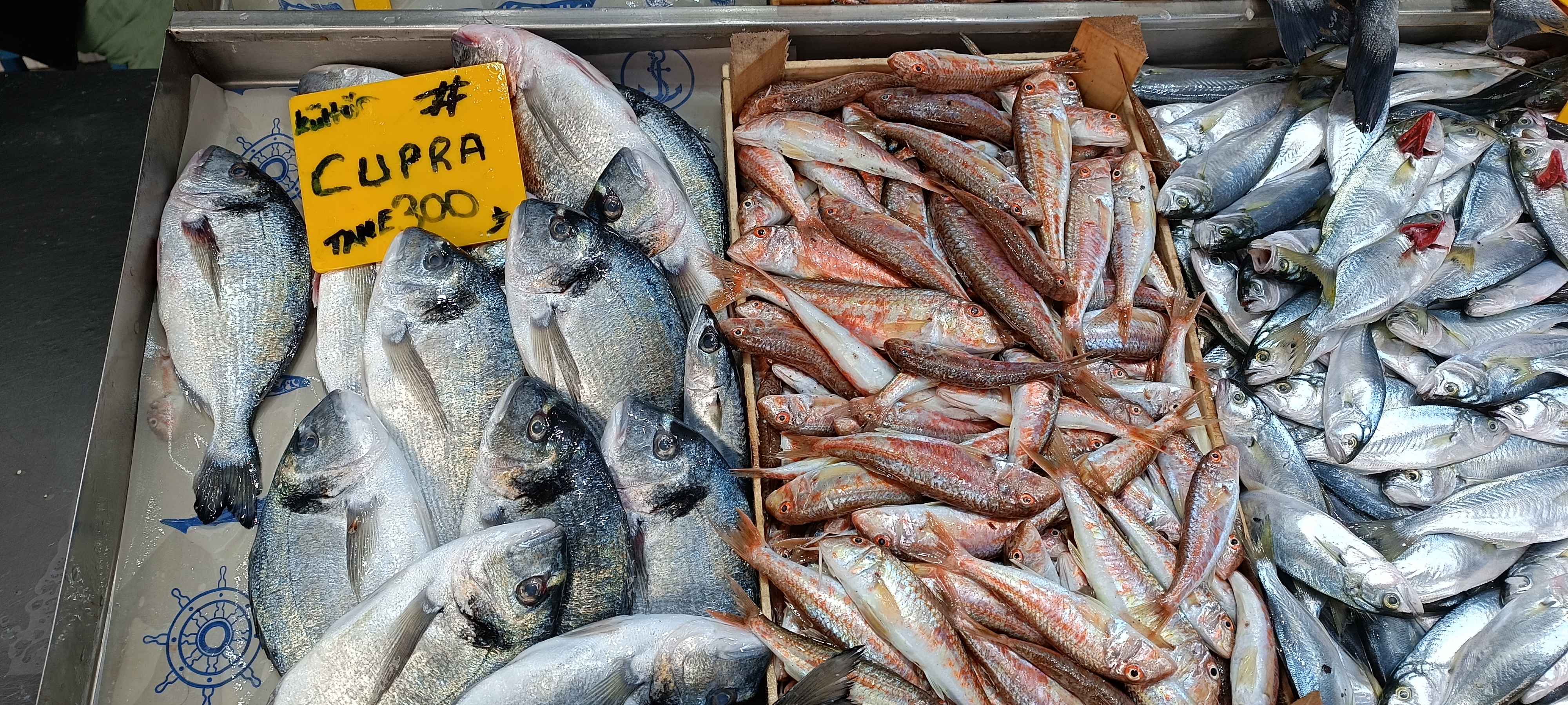 I M G 20260108 125253