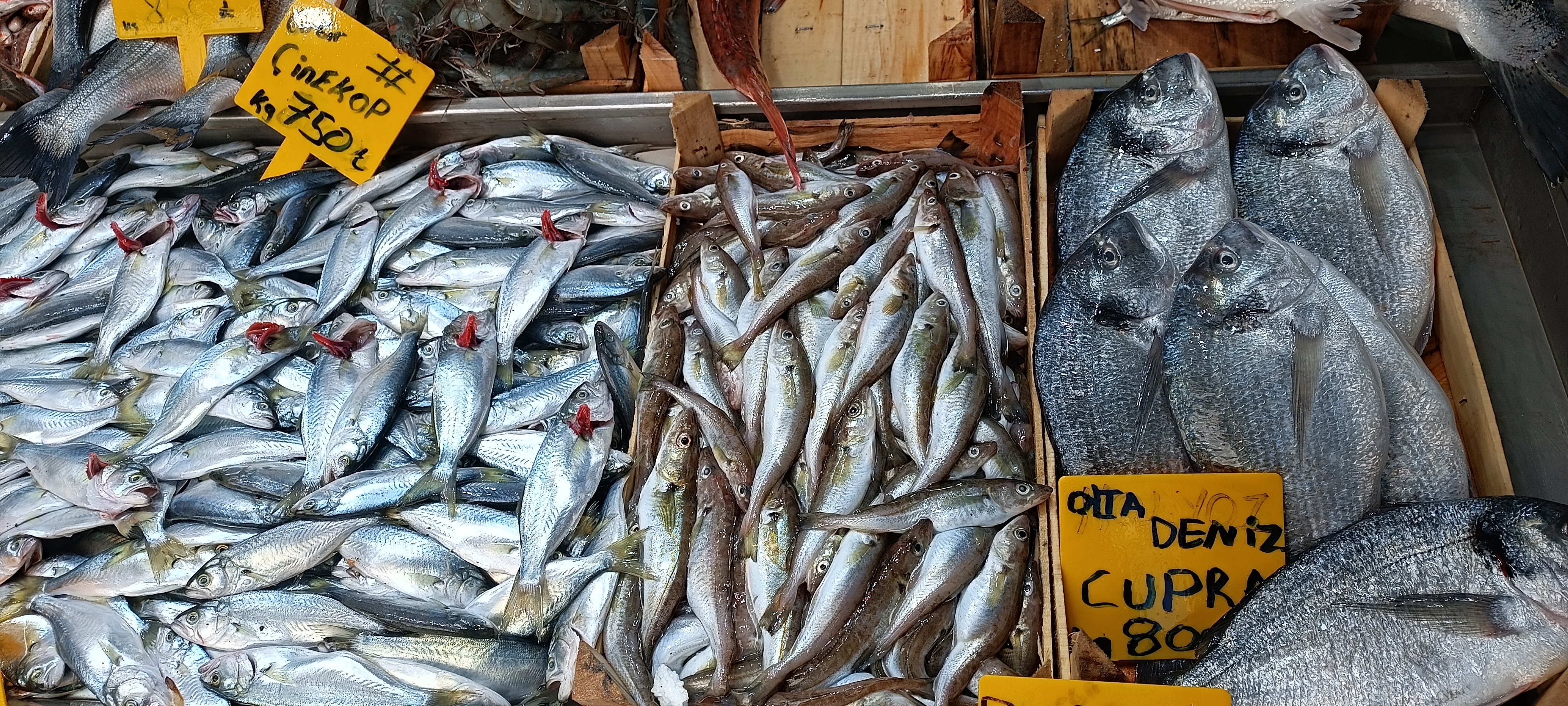 I M G 20260108 125324