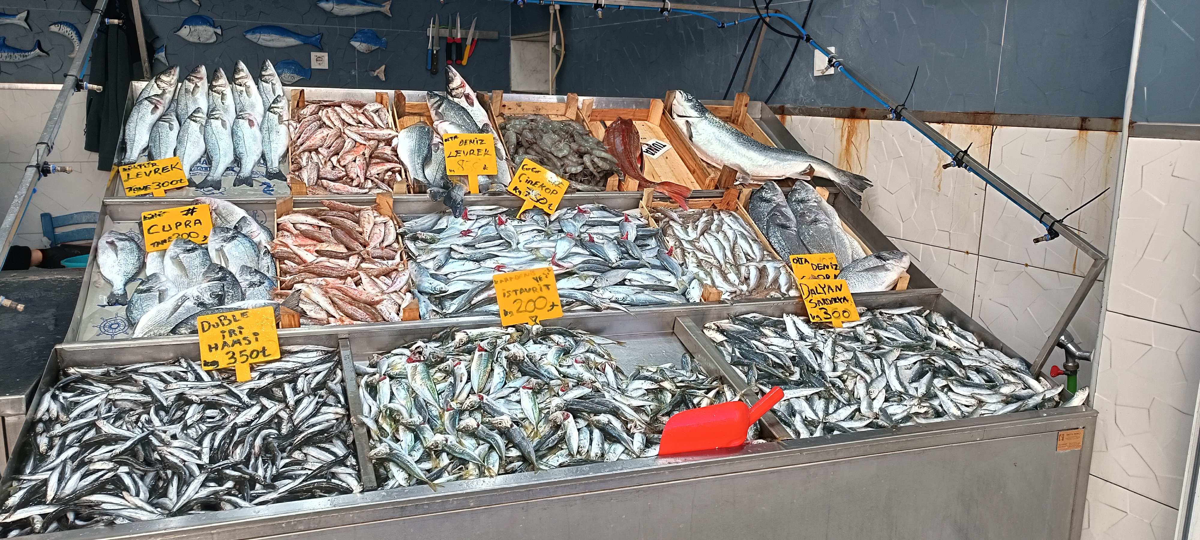 I M G 20260108 125359