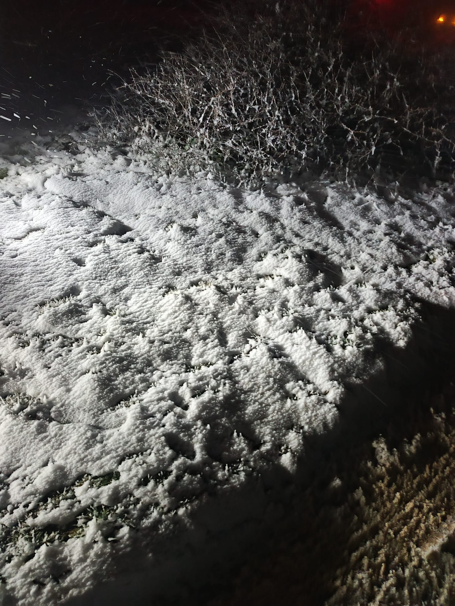 I M G 20260111 W A0132