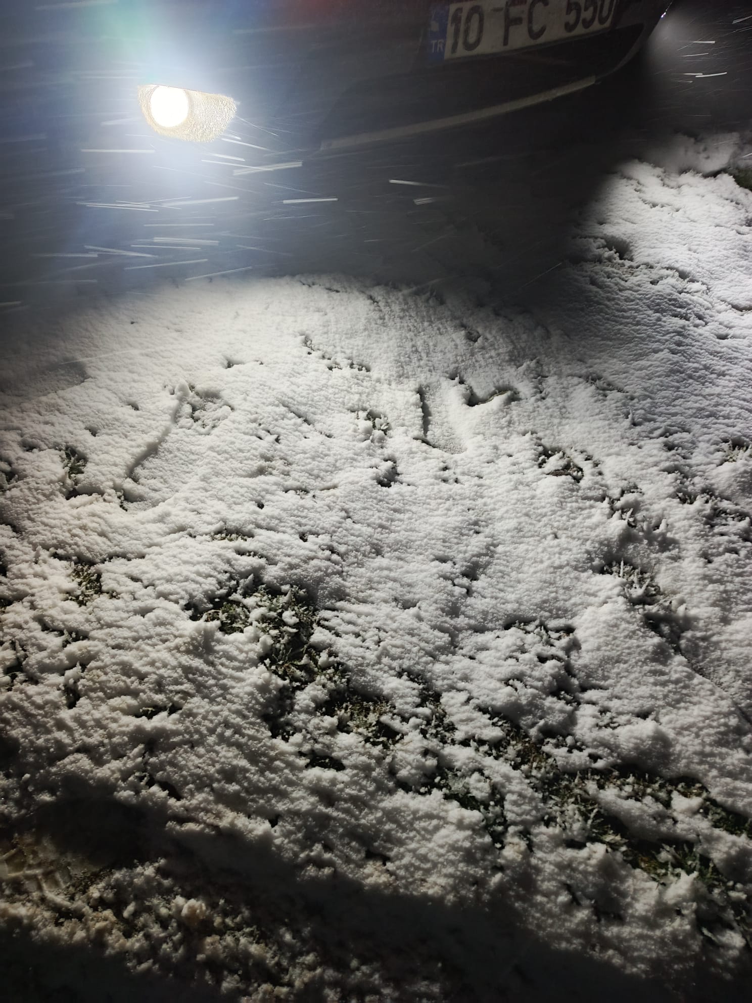 I M G 20260111 W A0134