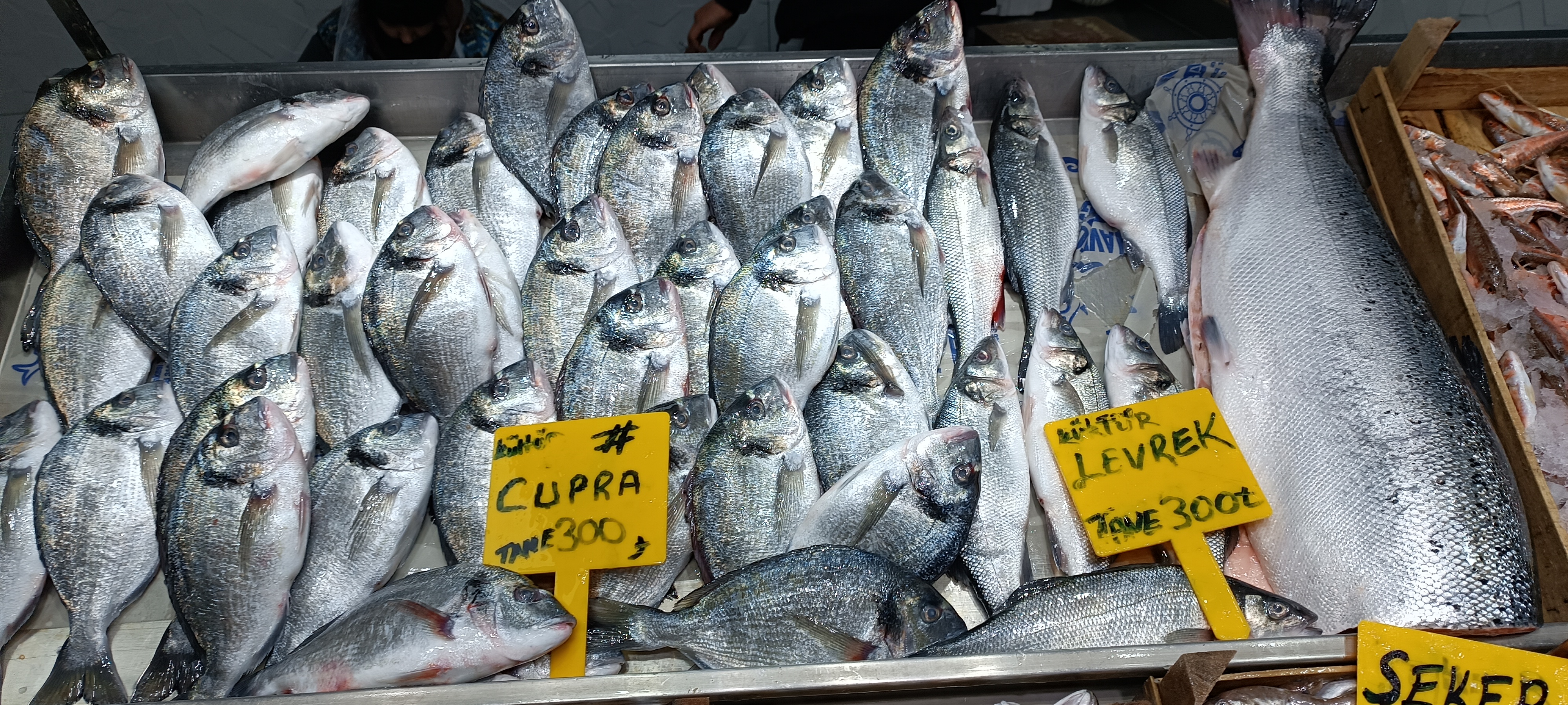 I M G 20260112 130100