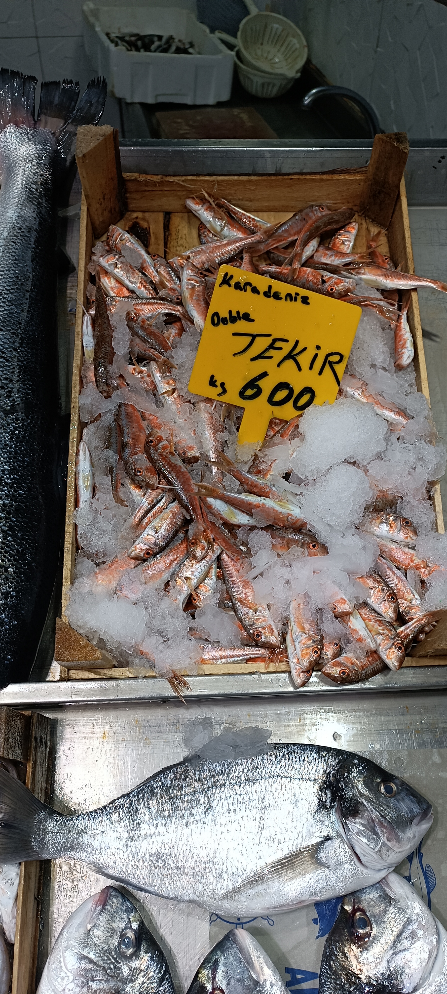 I M G 20260112 130108