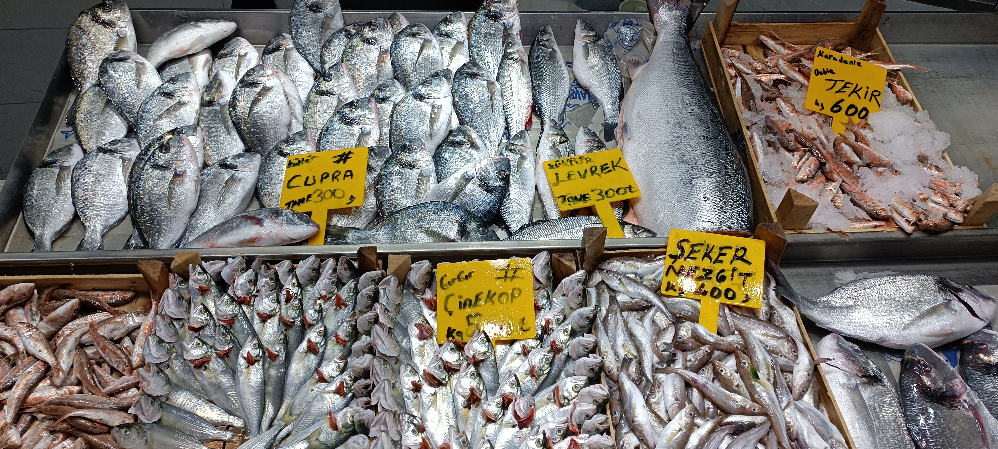 I M G 20260112 130119