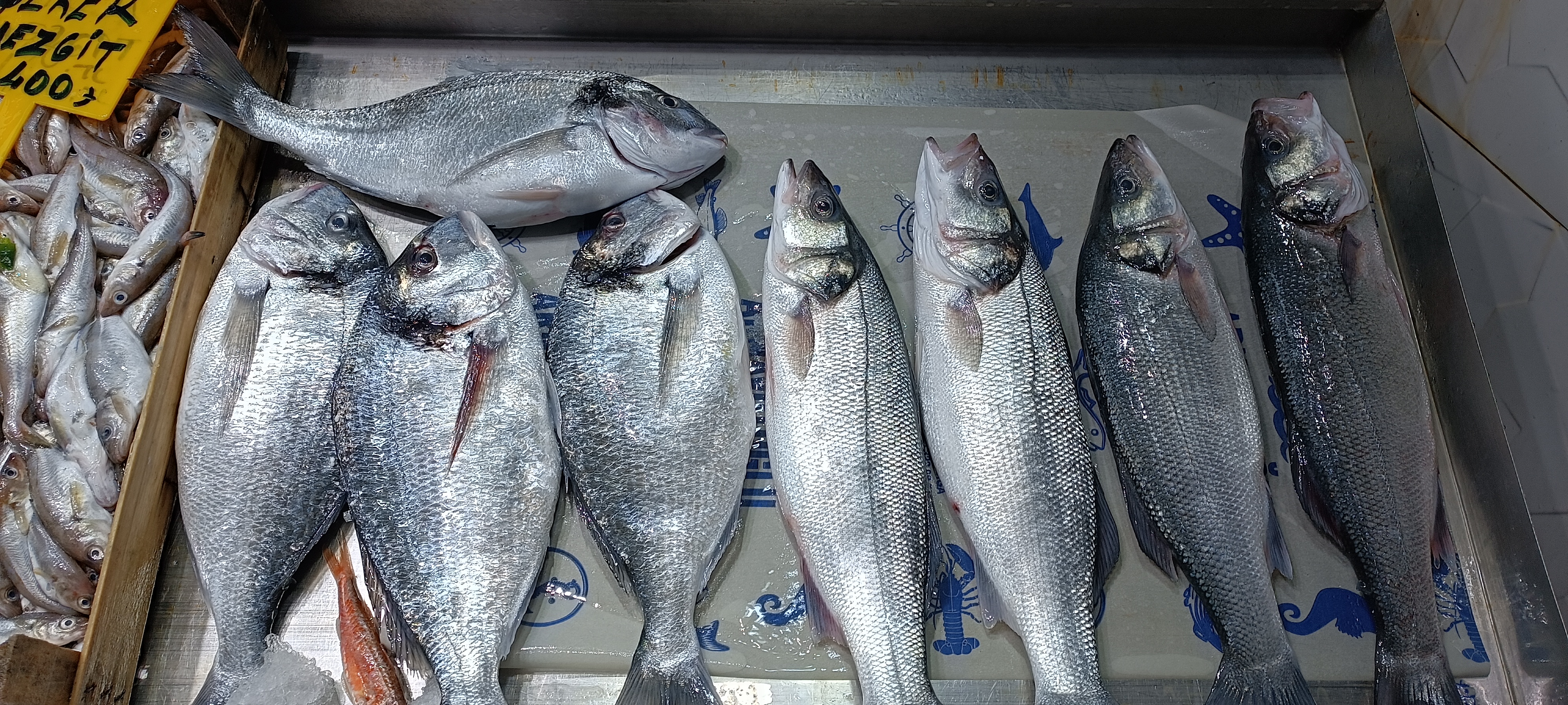 I M G 20260112 130126