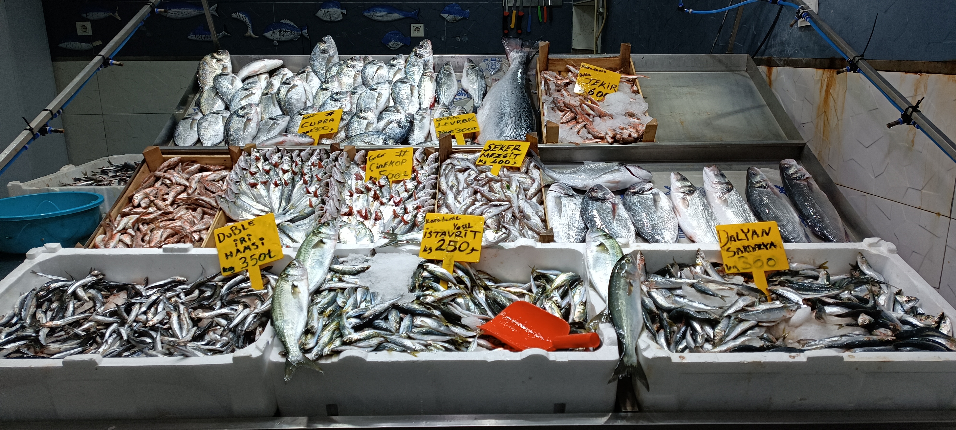 I M G 20260112 130549