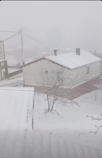 I M G 20260112 W A0036