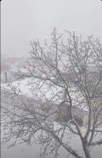 I M G 20260112 W A0039