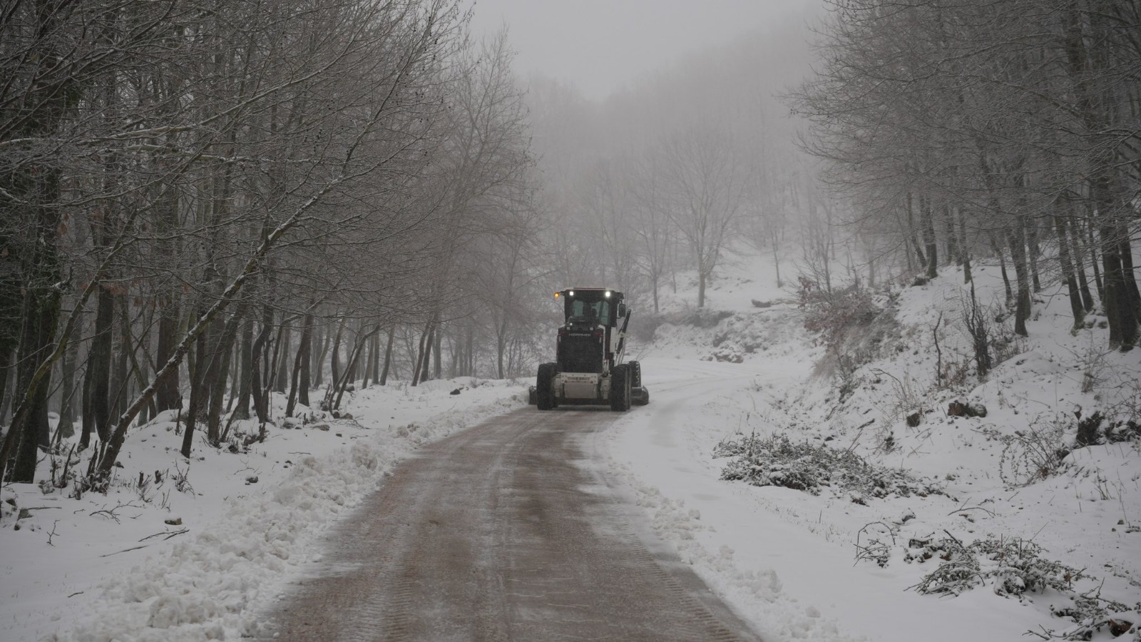 I M G 20260112 W A0056(1)