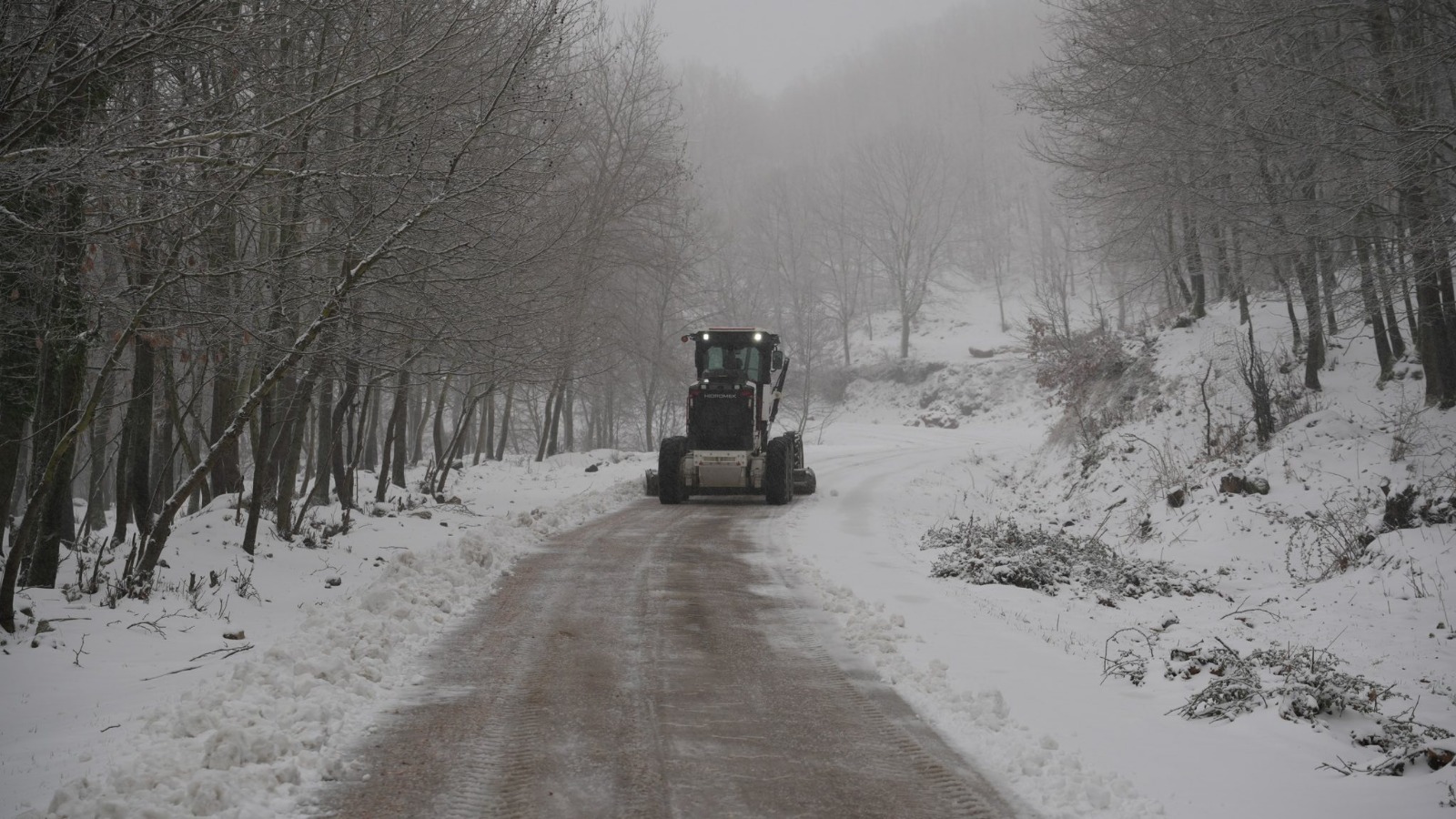 I M G 20260112 W A0057(1)