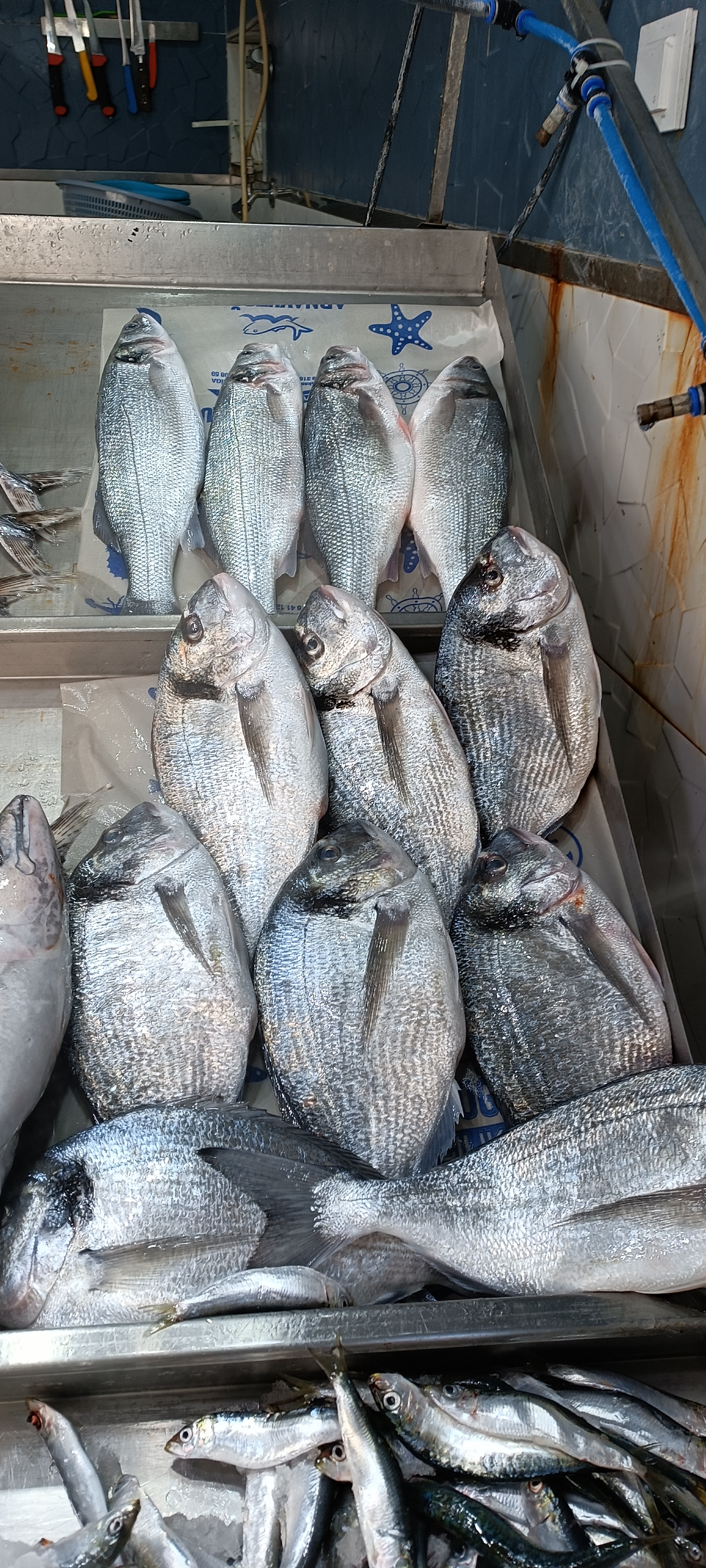 I M G 20260113 130946