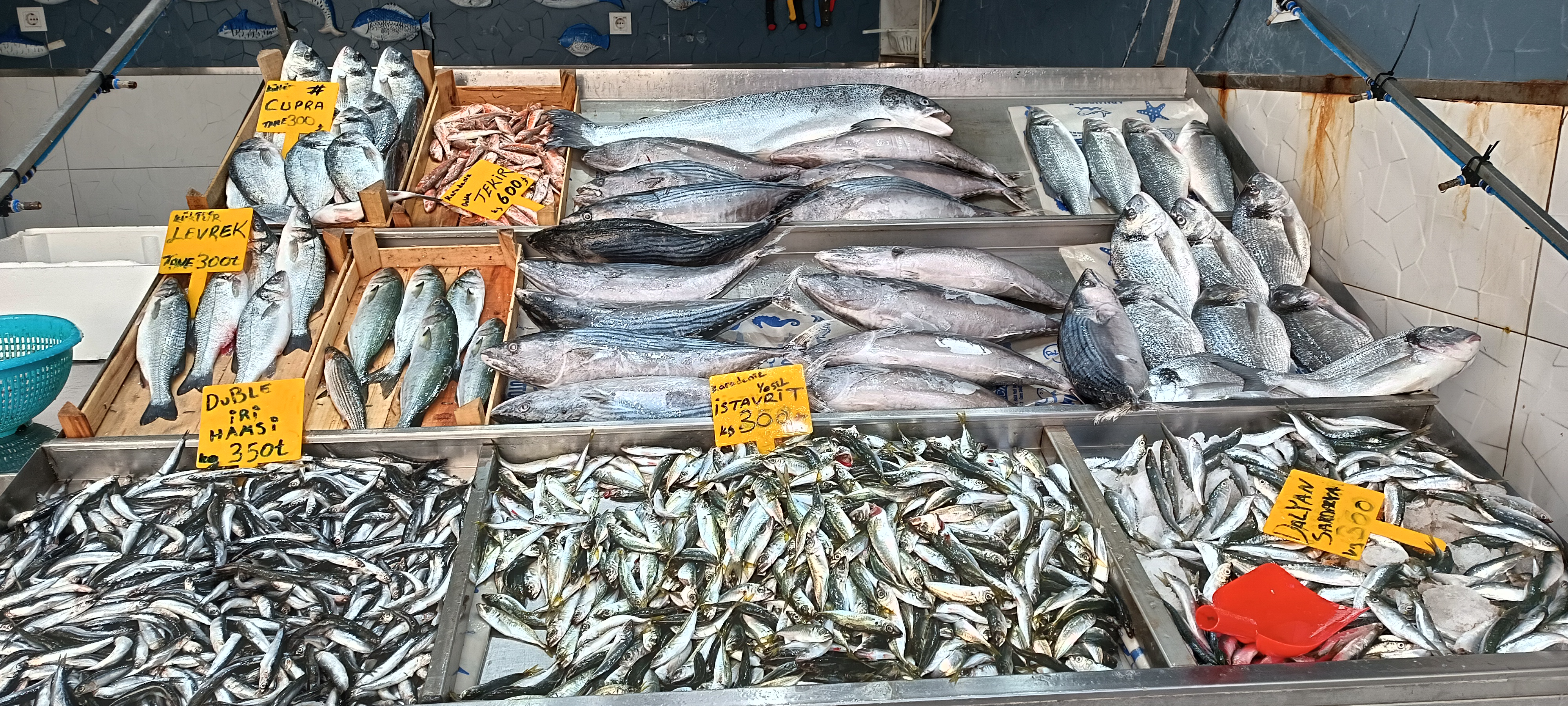 I M G 20260113 131038