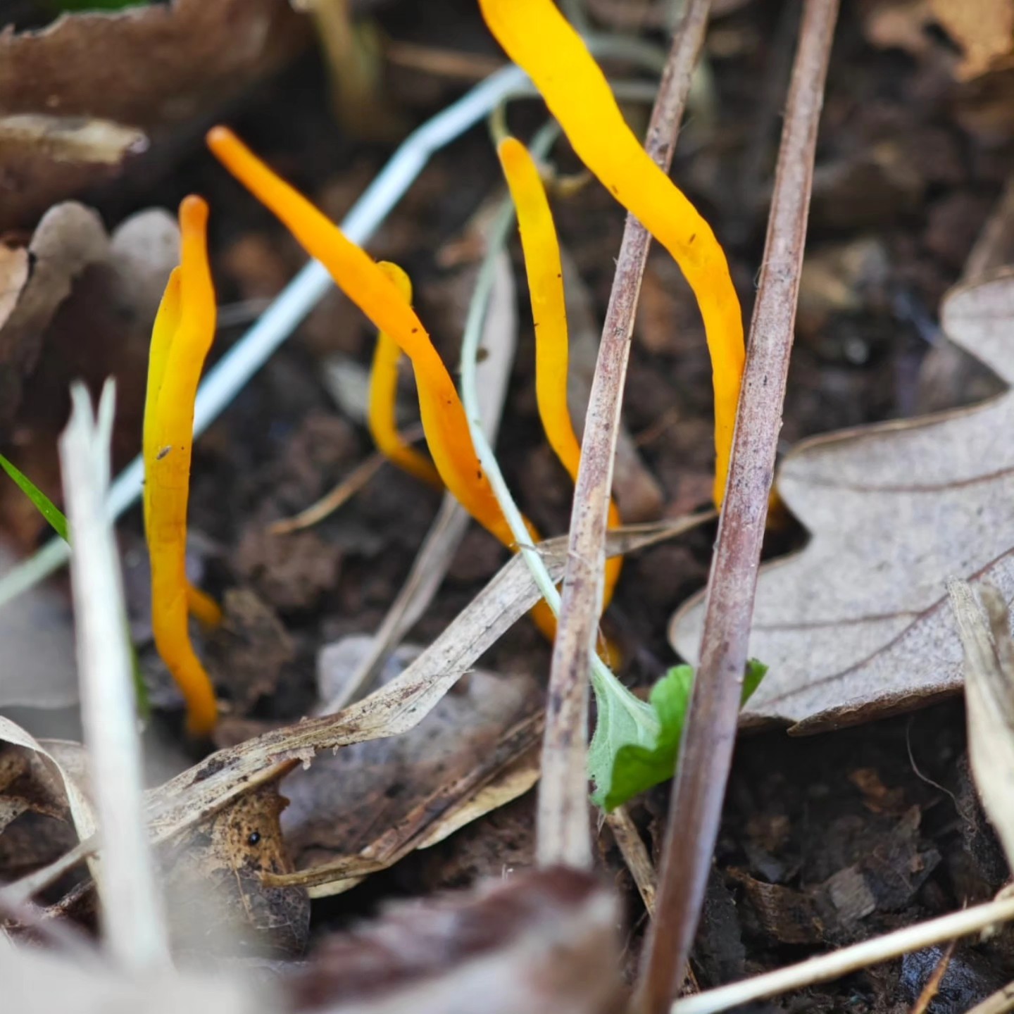 I M G 20260113 W A0047