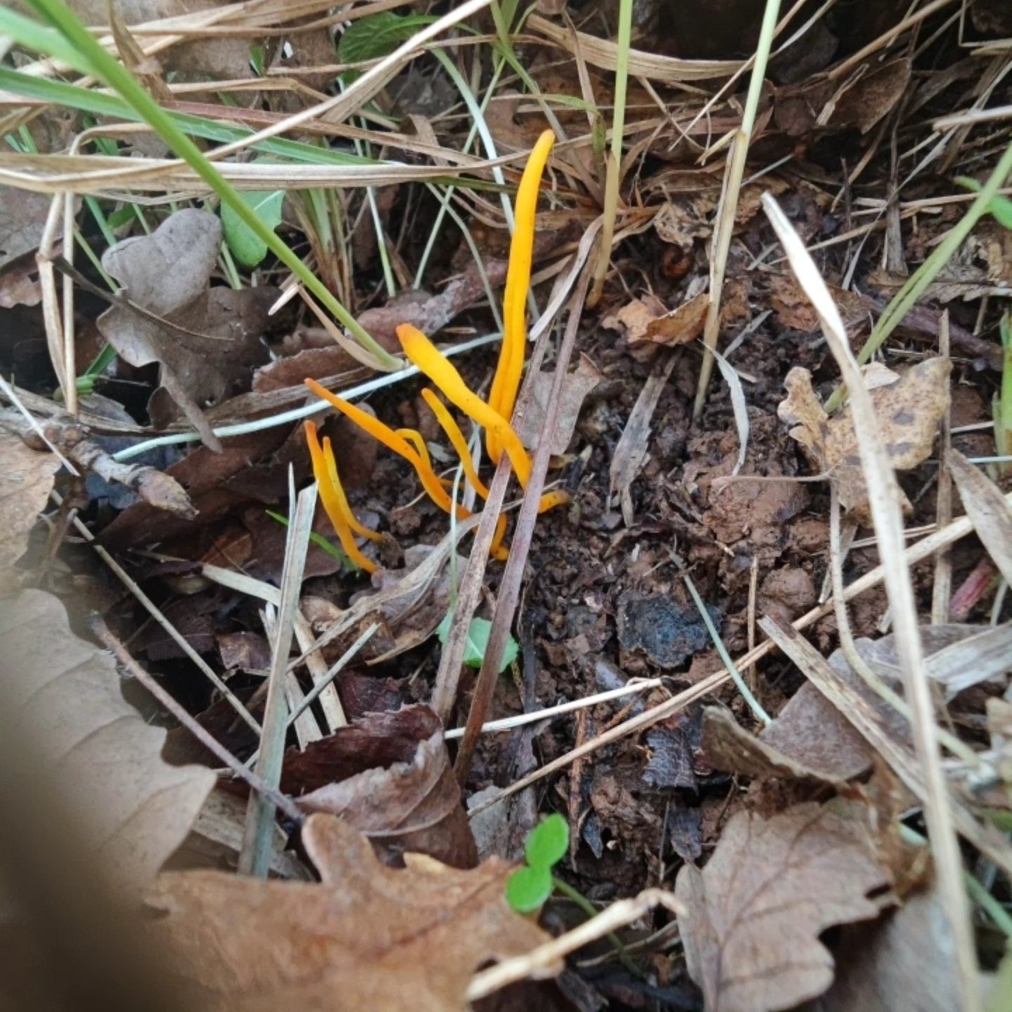 I M G 20260113 W A0048