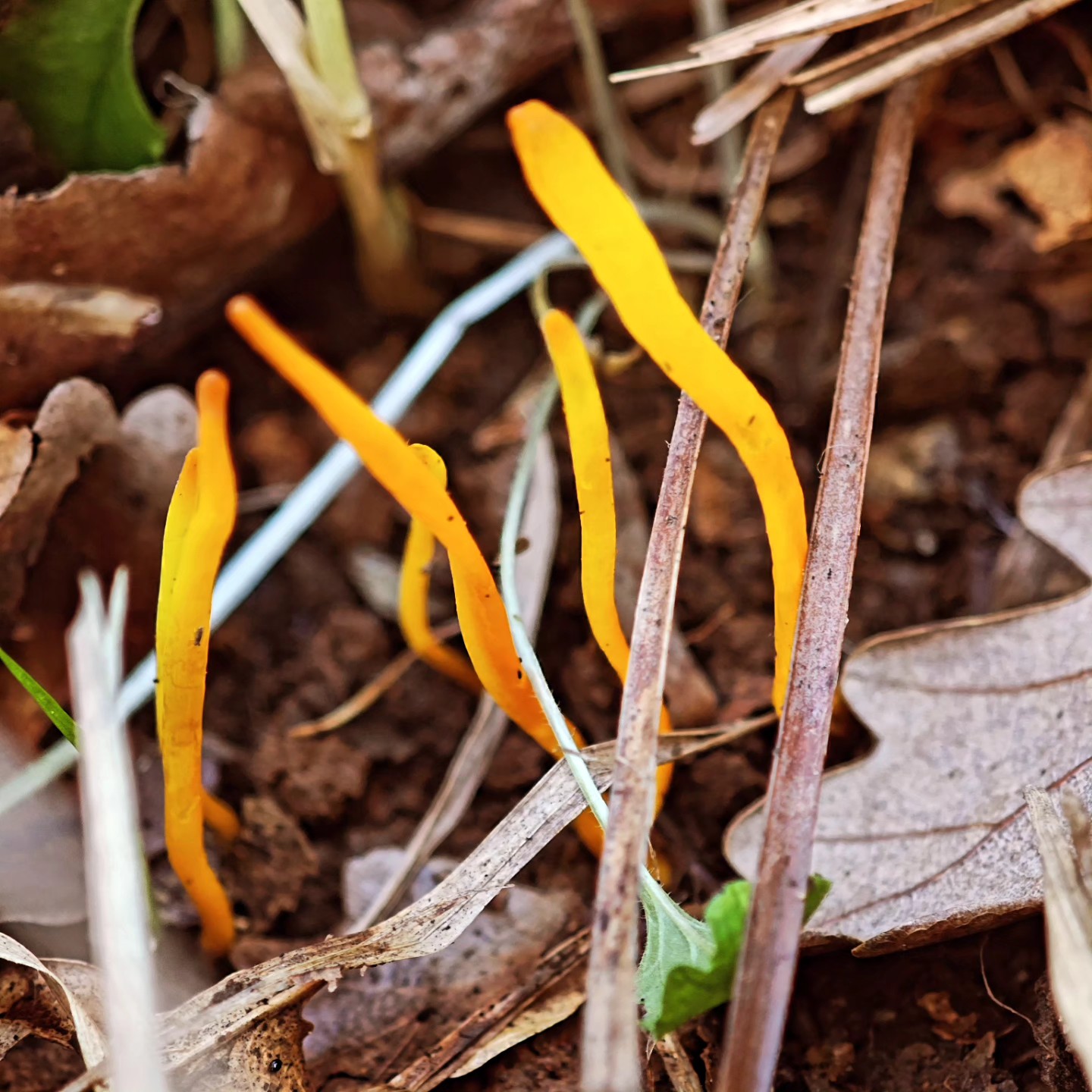 I M G 20260113 W A0050