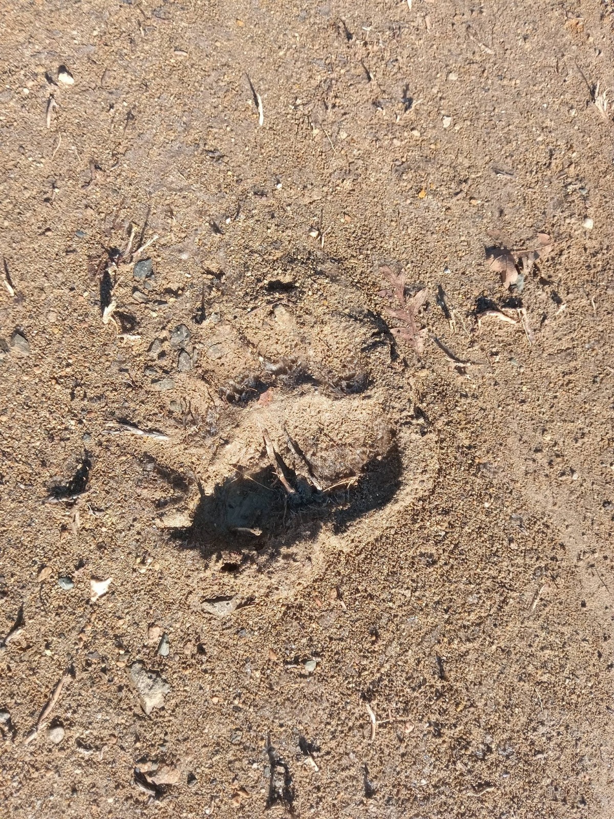 I M G 20260114 W A0071