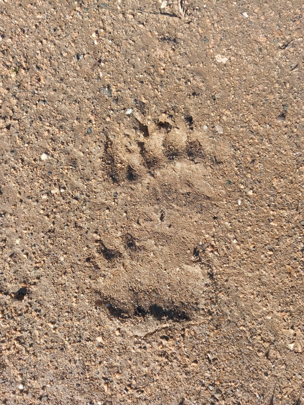 I M G 20260114 W A0072