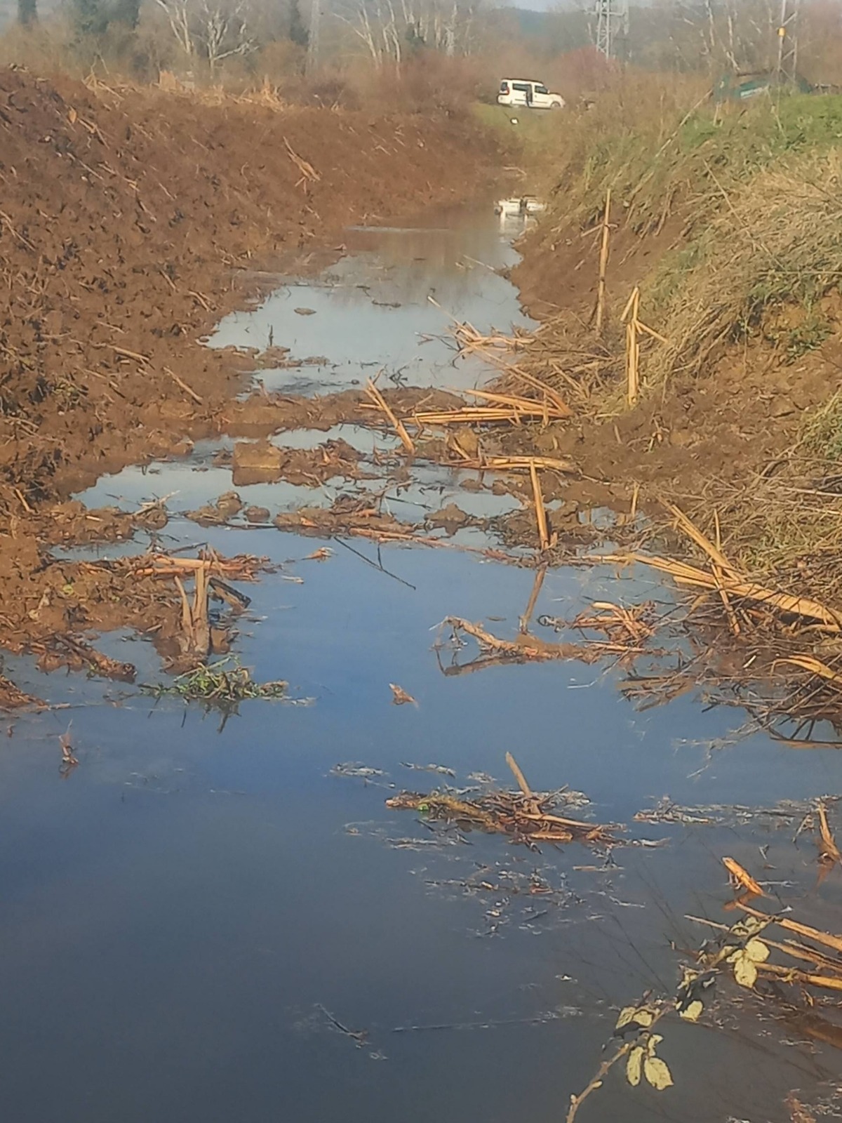 I M G 20260116 W A0129-1