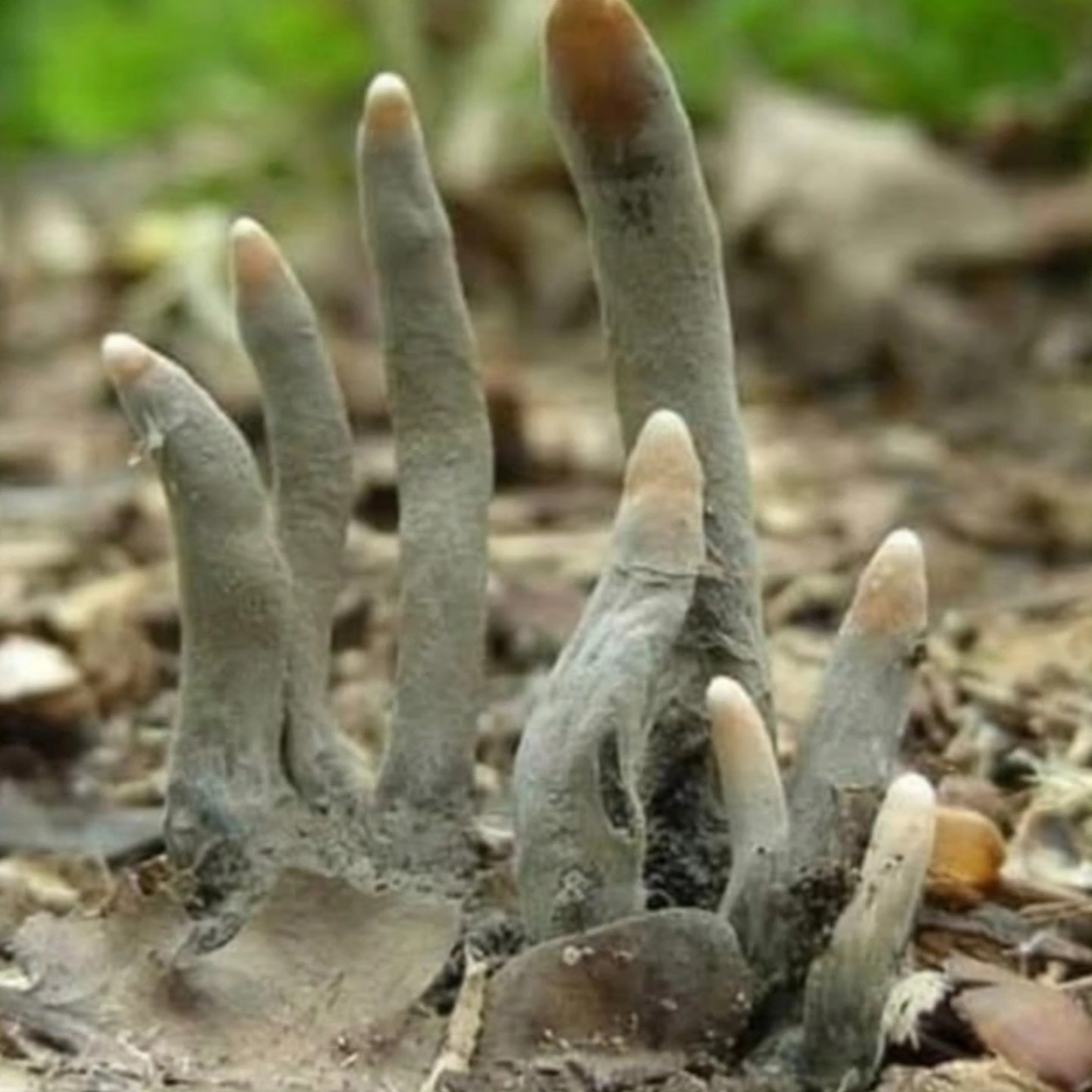 I M G 20260116 W A0133