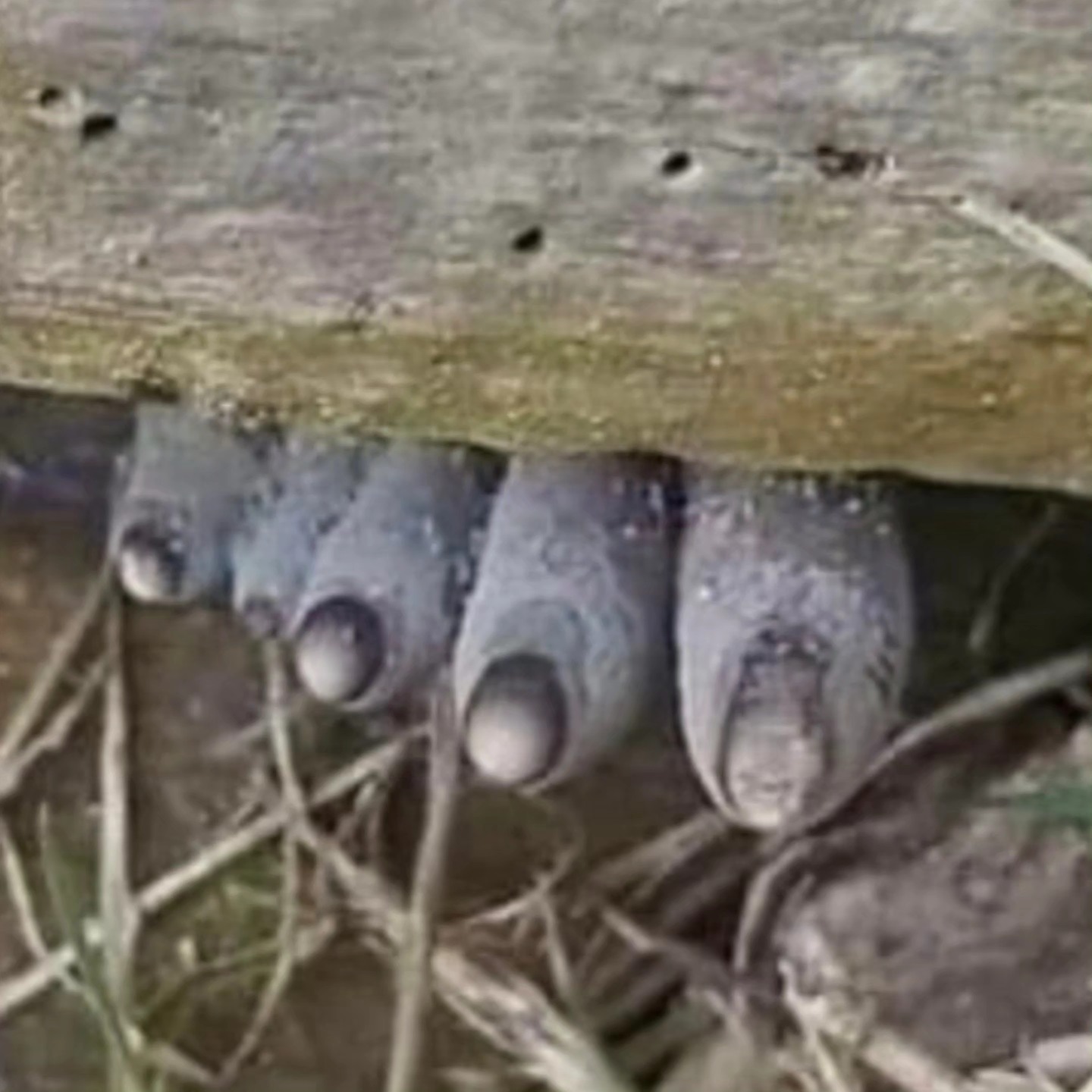 I M G 20260116 W A0134