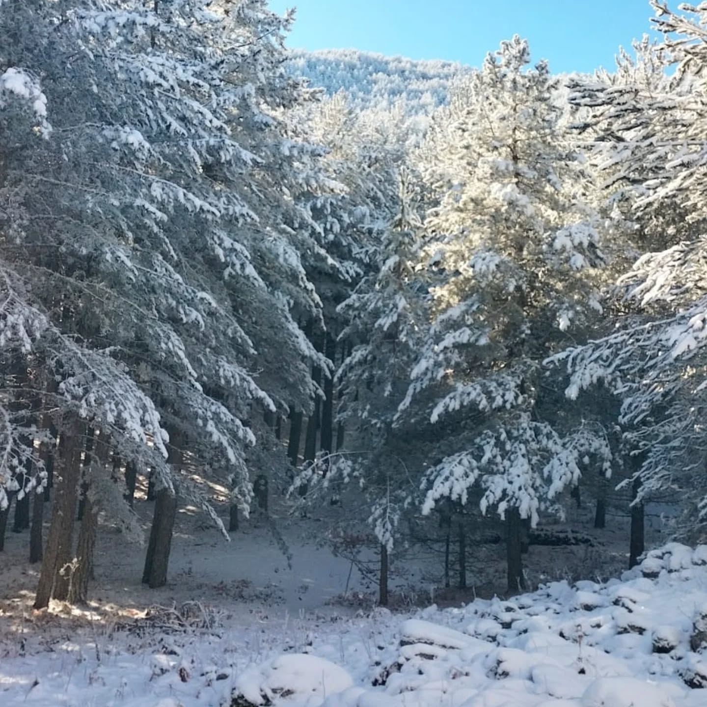 I M G 20260119 W A0041