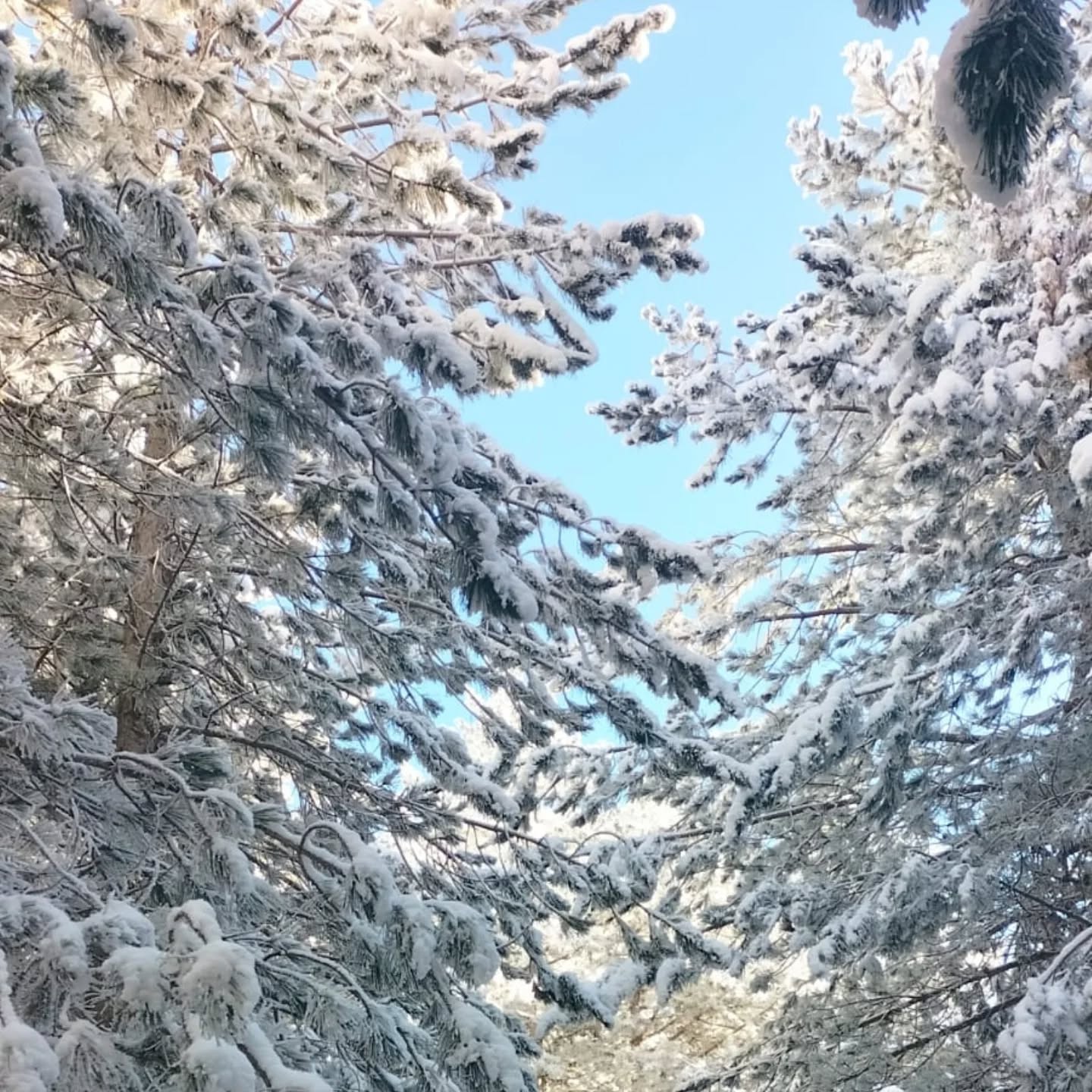 I M G 20260119 W A0042