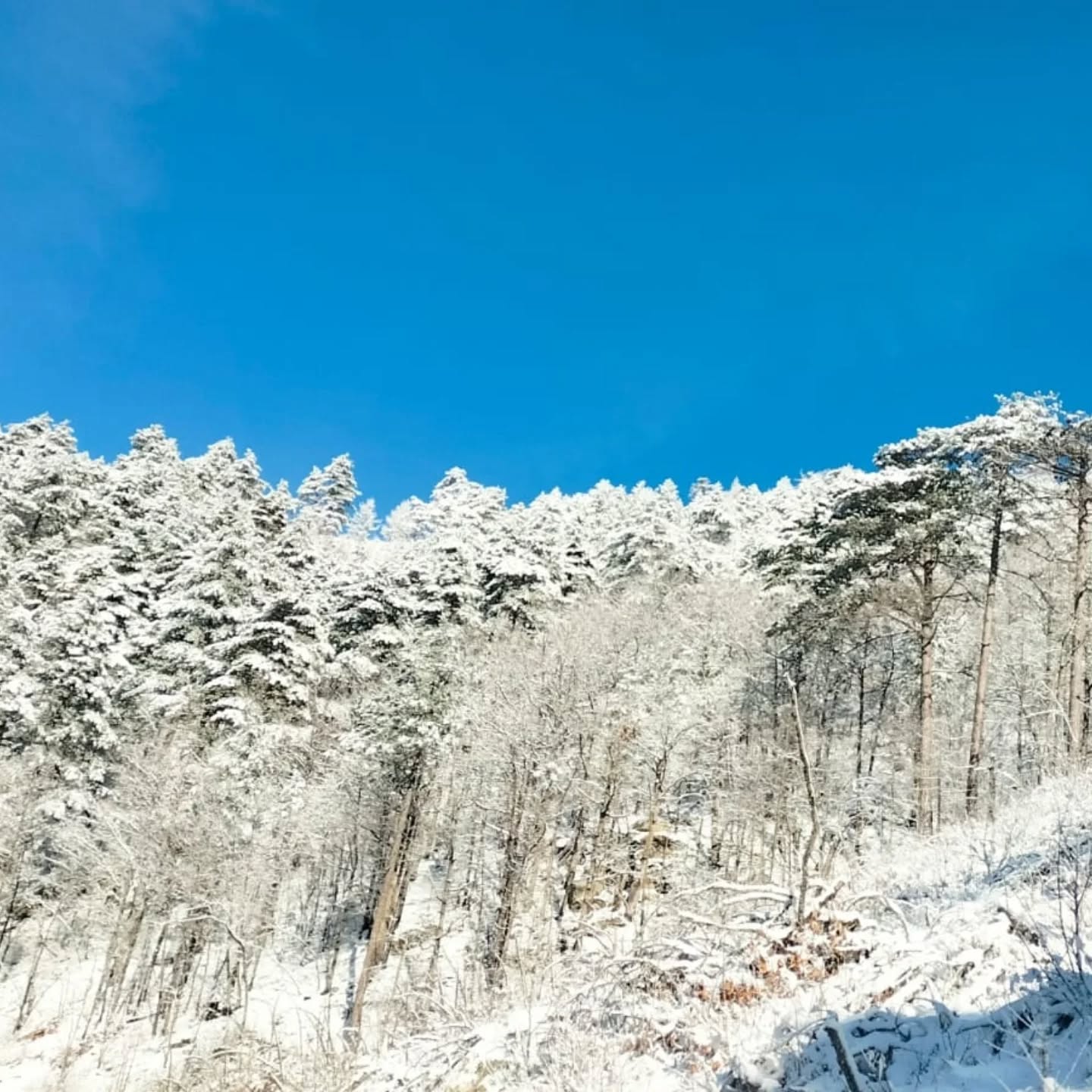 I M G 20260119 W A0043