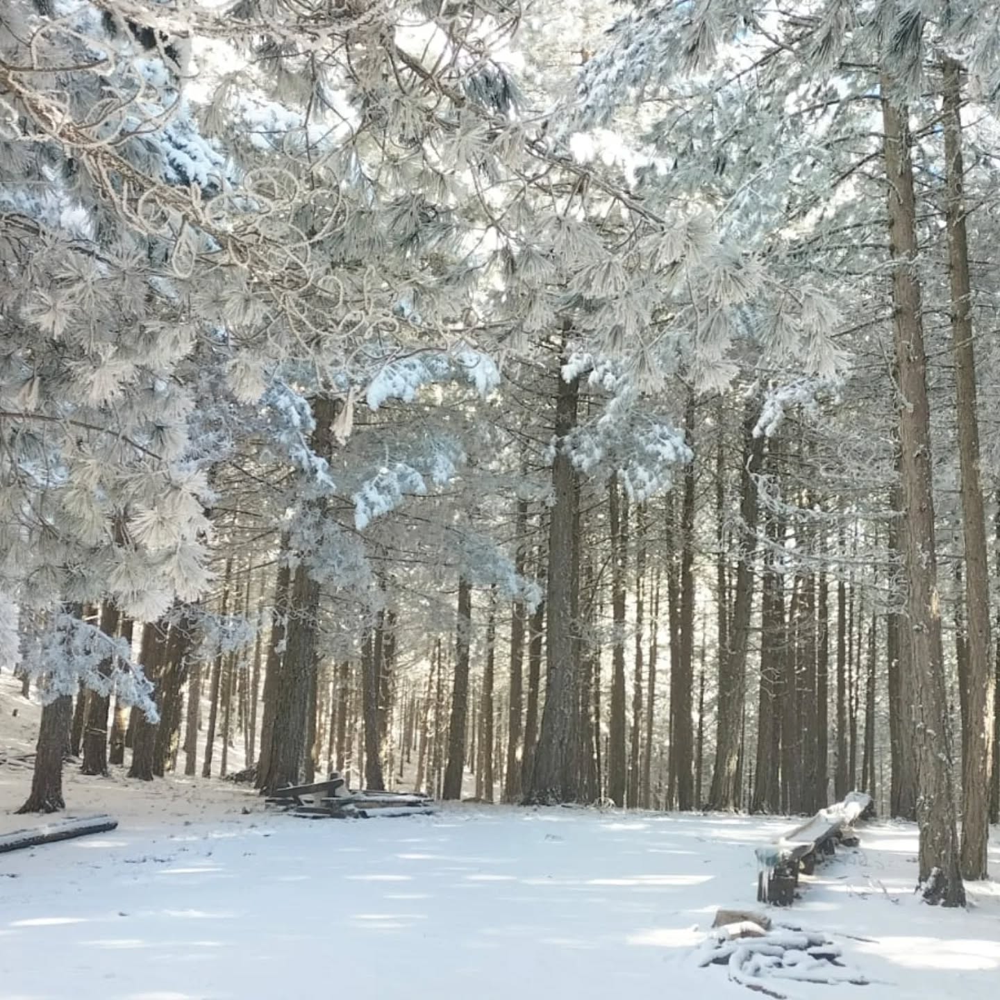 I M G 20260119 W A0044