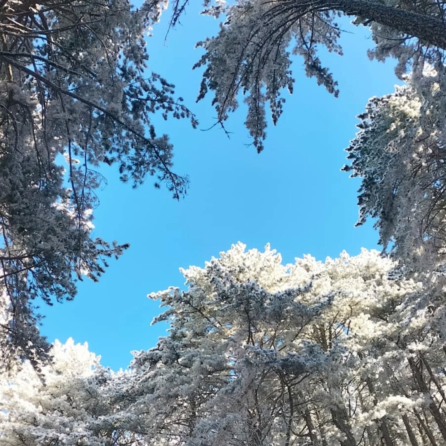 I M G 20260119 W A0045